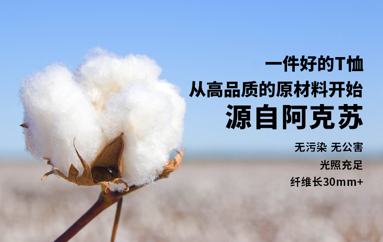 哲优严选の赛络紧密纺优质长绒棉T恤(图3)